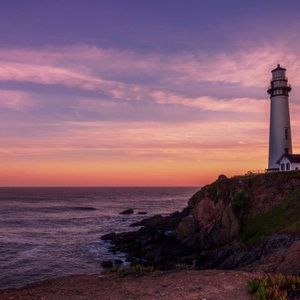 Meet your Posher, Shelly